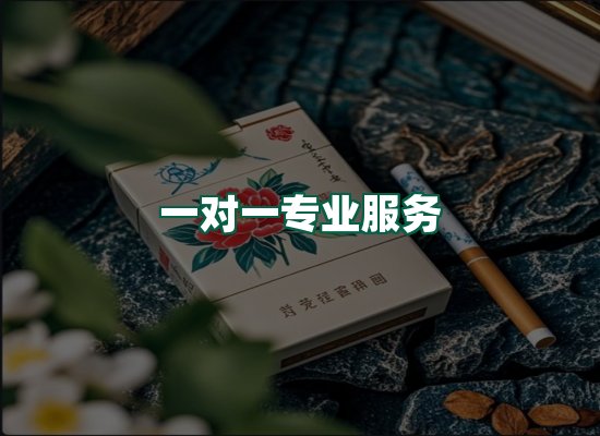 核心优势